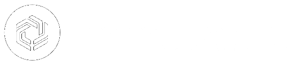 Immutable Passport